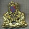 Y 1557 INSIGNA-MILITARA-EMBLEMA COIFURA- TRUPELE DE USCAT -PENTRU COLECTIONARI