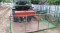 Foto  - 2
