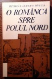 Petre Gheorghe Birlea - O romanca spre Polul Nord