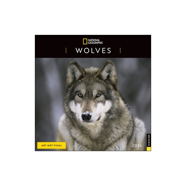 National Geographic: Wolves 2024 Wall Calendar
