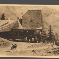 CPIB 15550 CARTE POSTALA - LACUL ROSU (GHILCOS). CABANA TURISTILOR C.C.S., RPR