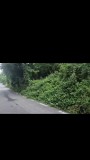 Teren deosebit 2.000 mp la 5 minute de T&acirc;rgoviște &ndash; Liniște, natură și toate utilitățile