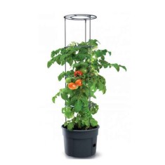 Ghiveci cu suport tip sera pentru rosii, 21 piese, 29.5x24.5x1152cm, Prosperplast foto