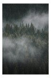 Tablou Canvas cu Pădure &Icirc;ncețoșată, 26 x 39 cm, CMCLASS
