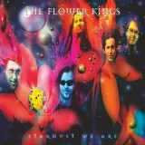 Stardust We Are | The Flower Kings, Rock