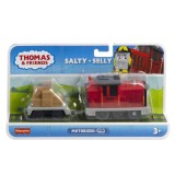 Locomotiva motorizata cu vagon, Thomas and Friends, Salty Selly, HMC21