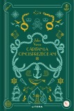 Capitan la cincisprezece ani. Volumul 38. Biblioteca pentru copii