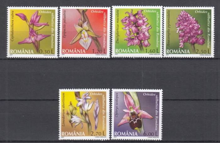 ROMANIA 2007 LP 1758 ORHIDEE SALBATICE SERIE MNH