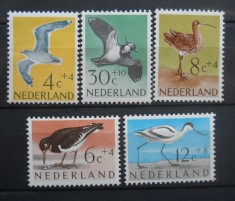 CV1 1961 SERIE OLANDA