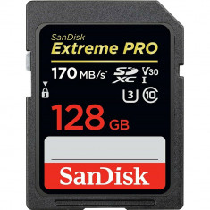 Card Memorie Extreme Pro SDXC 128GB 170MBs foto