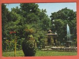 AS - C.P. BUZIAȘ, VEDERE DIN PARC, CIRCULATĂ (STAREA CARE SE VEDE)