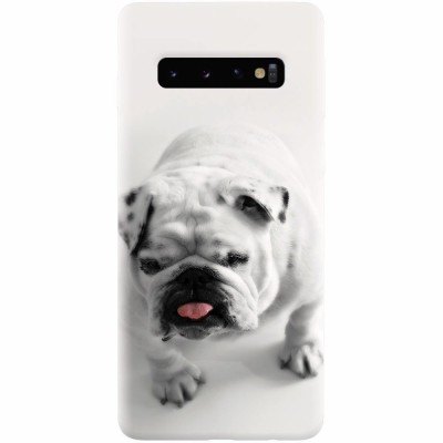 Husa silicon pentru Samsung Galaxy S10, Pretty Doggy foto