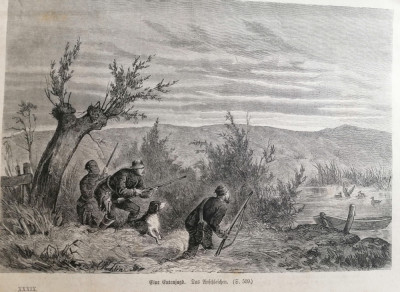 Litografie veche cu o vanatoare de rate salbatice (vanat/fauna/vanatori) foto
