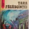 Tara fagaduintei &ndash; Radu Theodoru