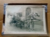H173- Foto veche anii 1900-Familie din Banat-Caleasca cu Cai zona Cenei- Jimbolia cu case pe ulita satului.