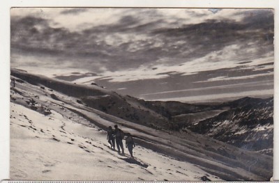 bnk cp Muntii Bucegi - Spre Costila - uzata foto