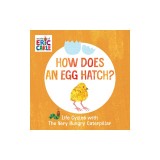 How Does an Egg Hatch?: Life Cycles with the Very Hungry Caterpillar