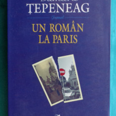 Dumitru Tepeneag – Un roman la Paris