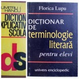 Dictionar explicativ scolar- D. HINCU; Dictionar terminologie literara - F. LUPU
