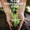 The Plant Propagator&#039;s Bible: A Step by Step Guide to Propagating Every Plant in Your Garden