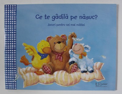 CE TE GADILA PE NASUC ? JOCURI PENTRU CEI MITITEI , text BIRGIT HORNER , ilustratii ANNA KARINA BIRKENSTOCK , 2018 foto