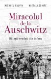 Miracolul de la Auschwitz - Michael Calvin, Naftali Schiff - Carte istorie Epoca Contemporana, Paperback