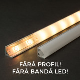 Ecran opal pt. profil aluminiu LED - 1000 mm Best CarHome, Phenom