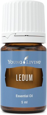 Ulei Esential Ledum 5ML foto