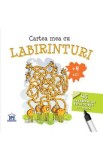Cartea mea cu labirinturi. 46 de labirinturi refolosibile + o carioca 4 ani+