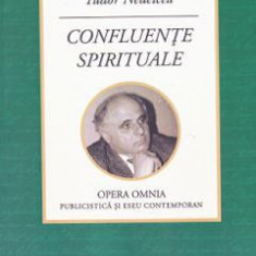 Confluente spirituale - Tudor Nedelcea