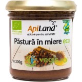 Pastura in Miere Ecologica/Bio 200g