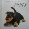 Legacy of the Puppy The ultimate illustrated guide