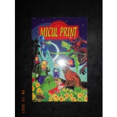 ANTOINE DE SAINT EXUPERY - MICUL PRINT