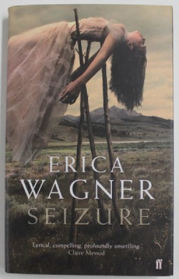 SEIZURE by ERICA WAGNER , 2007 foto