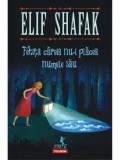 Cumpara ieftin Fetita careia nu-i placea numele sau/Elif Shafak