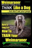 Weimaraner, Weimaraner Training AAA Akc: Think Like a Dog, But Don&#039;t Eat Your Poop! - Weimaraner Breed Expert Training: Here&#039;s Exactly How to Train Yo