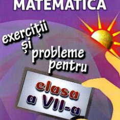 Matematica - Clasa 7 - Exercitii si probleme - Gheorghe Adalbert Schneider