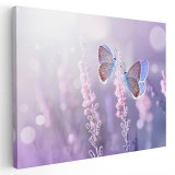 Tablou doi fluturi liliac pe flori de lavanda, mov, roz 1601 Tablou canvas pe panza CU RAMA 70x100 cm
