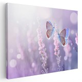 Tablou doi fluturi liliac pe flori de lavanda, mov, roz 1601 Tablou canvas pe panza CU RAMA 20x30 cm