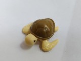bnk jc Kinder 2024 - Feeding friends - Turtle - VT081