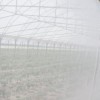 Plasa antiinsecte 2 x 100m