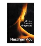 Neslihan Acu - Ce nimic frumos, dragostea - 112442