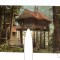 CP Sinaia - Cuibul princesei, pana in 1918, necirculata, stare buna