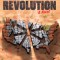 After the Revolution