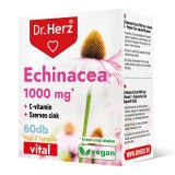 Capsule echinacea 1000 mg + vitamina C + zinc organic Dr Herz 60 buc