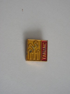 QW9 N3 71 - insigna - orase - Rusia foto