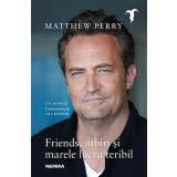 Friends iubiri și marele lucru teribil - Matthew Perry