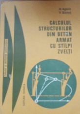 Calculul structurilor din beton armat cu stalpi zvelti - R. Agent/ V. Banut