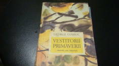 Cosbuc-Vestitorii primaverii - prima mea biblioteca-1977- il . Daniela Marin foto