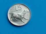 5 Lire 1981 San Marino-UNC-RAR